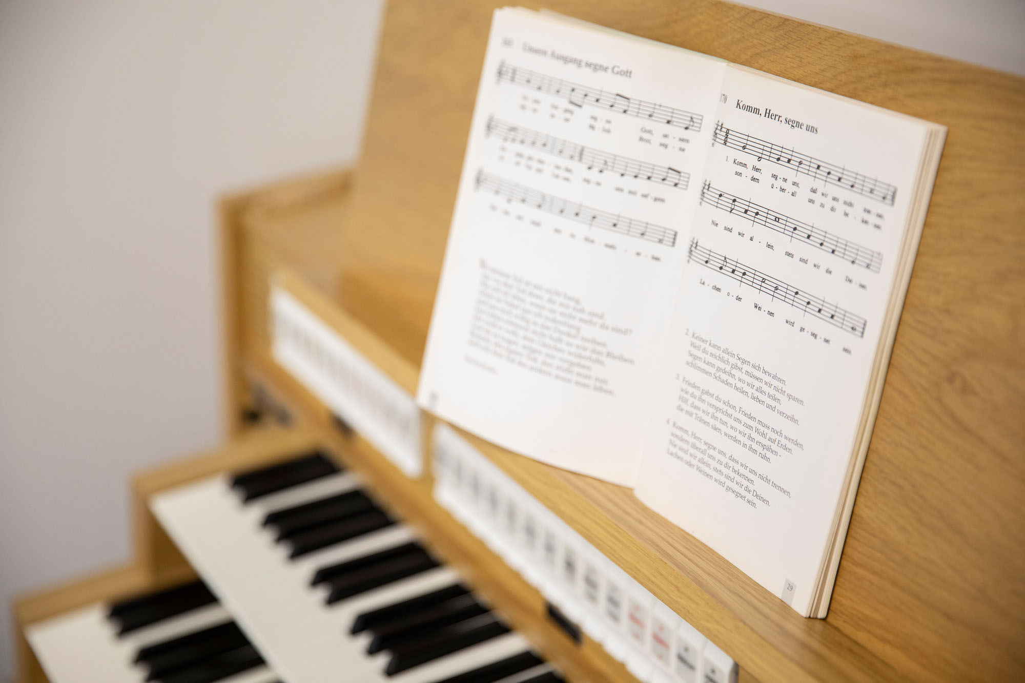musik-und-blumen2